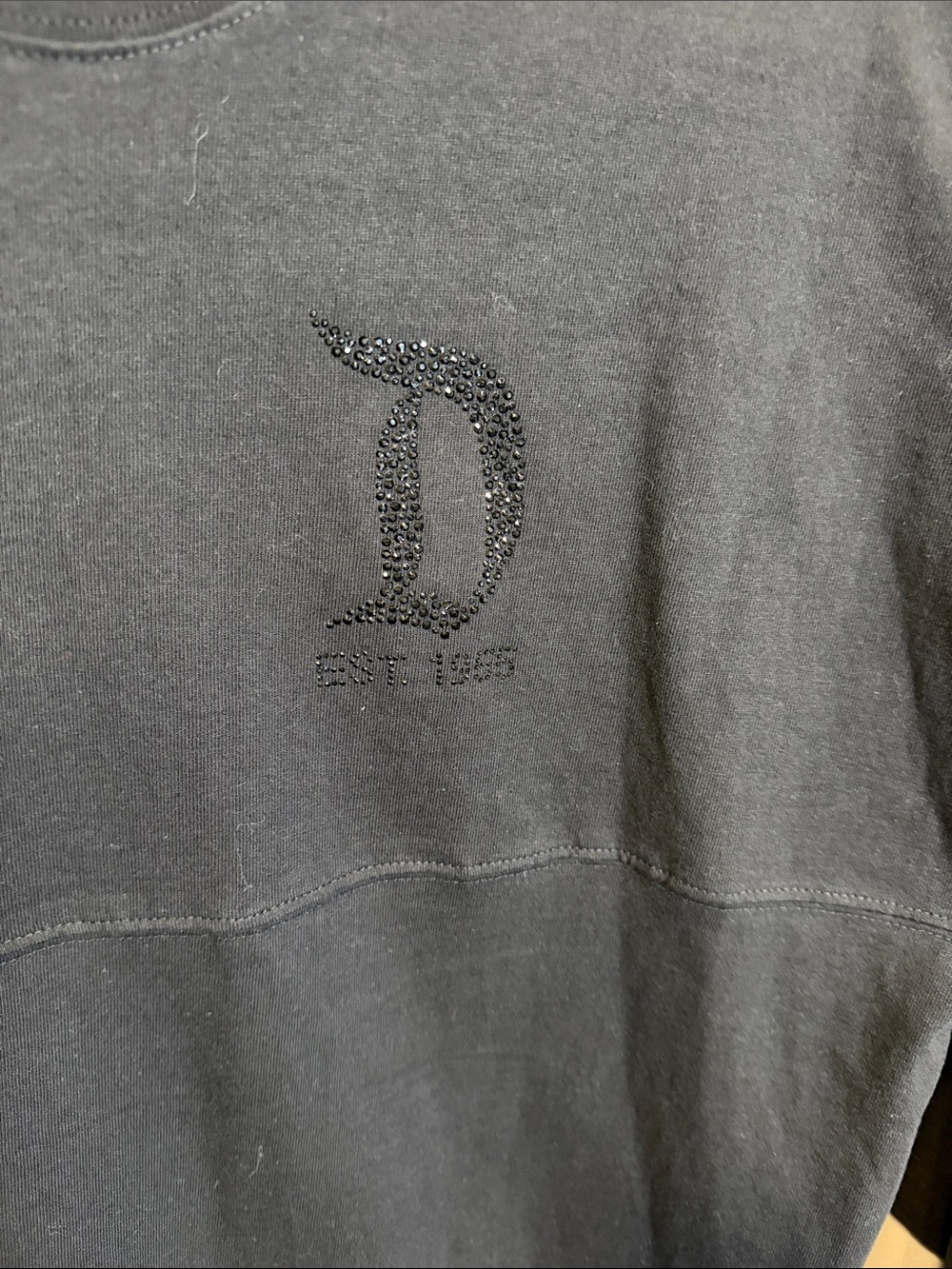 Disneyland Marquee Spirit Jersey - Picture 2 of 6